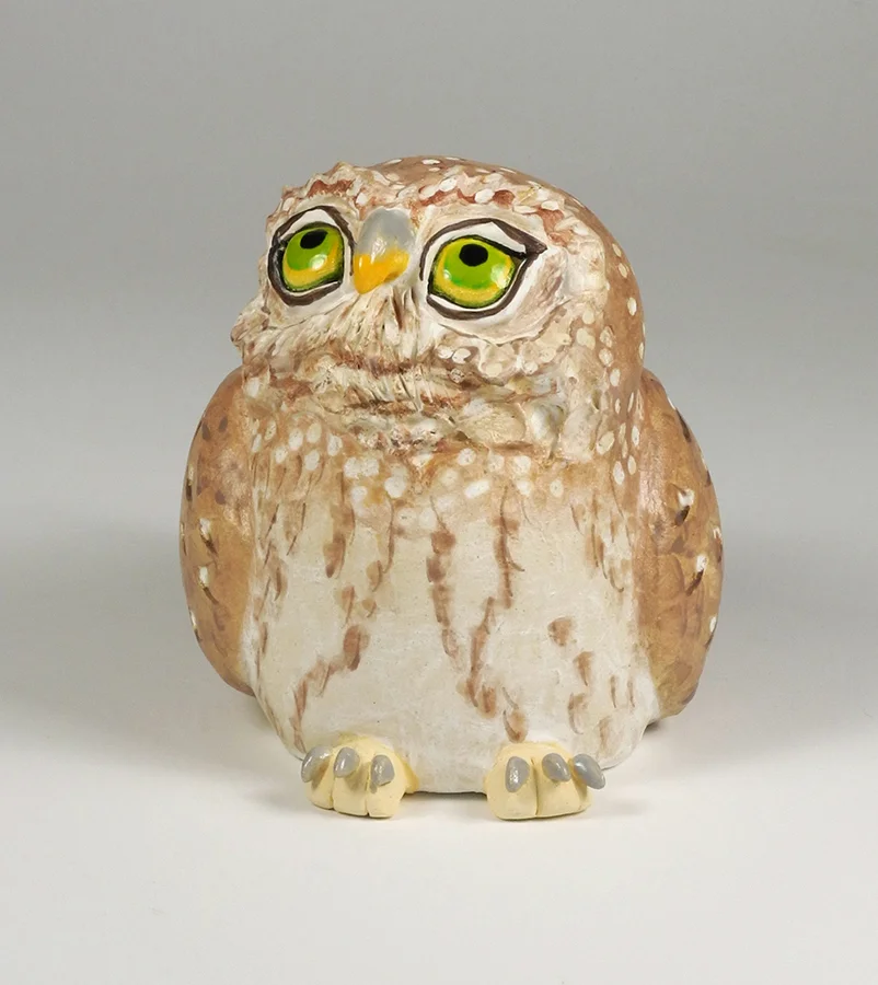 Owl — Paula Bellacera